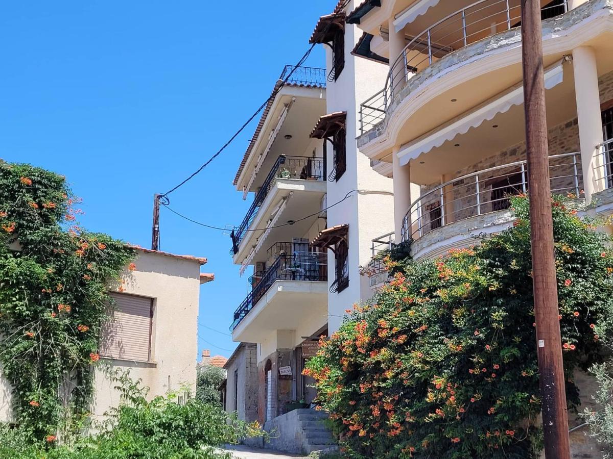 Amversa's Skala Marion