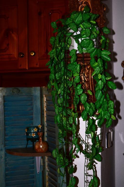 Apartment Amversa's